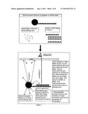 Chemiluminescence proximity nucleic acid assay diagram and image