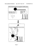 Chemiluminescence proximity nucleic acid assay diagram and image