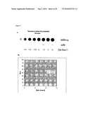 Chemiluminescence proximity nucleic acid assay diagram and image