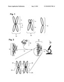 METHOD FOR CHROMOSOME ENUMERATION diagram and image