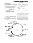 Plant artificial chromosomes, uses thereof and methods of preparing plant artificial chromosomes diagram and image