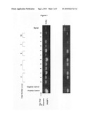 EARLY DETECTION OF CANCER BY METHYLATED DNA IN BLOOD diagram and image