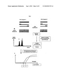 REAL TIME GENE EXPRESSION PROFILING diagram and image