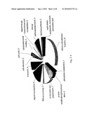 DIAGNOSTIC TEST FOR PARKINSON S DISEASE diagram and image