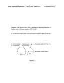 Prostate Cancer-Related Compositions, Methods and Kits Based on DNA Macroarray Proteomics Platforms diagram and image