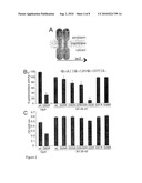 ASSAY FOR THE DIAGNOSIS OF ALZHEIMER S DISEASE BASED ON THE DETERMINATION OF THE RATIO OF GAMMA-SECRETASE ABETA CLEAVAGE PRODUCTS diagram and image