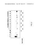 MEASURING CIRCULATING THERAPEUTIC ANTIBODY, ANTIGEN AND ANTIGEN/ANTIBODY COMPLEXES USING ELISA ASSAYS diagram and image