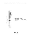 Methods to obtain recombinant proteins with increased sialylation from cells that express adenovirus E1A protein, and proteins obtained thereby diagram and image