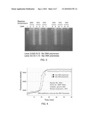 ISOTHERMAL AMPLIFICATION METHOD AND DNA POLYMERASE USED IN THE SAME diagram and image