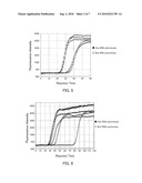 ISOTHERMAL AMPLIFICATION METHOD AND DNA POLYMERASE USED IN THE SAME diagram and image