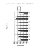 USE OF ANTISENSE OLIGONUCLEOTIDE LIBRARIES FOR IDENTIFYING GENE FUNCTION diagram and image