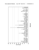 USE OF ANTISENSE OLIGONUCLEOTIDE LIBRARIES FOR IDENTIFYING GENE FUNCTION diagram and image