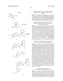 PYRROLOPYRAZOLE, POTENT KINASE INHIBITORS diagram and image