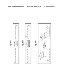 Iminosugars and methods of treating viral diseases diagram and image