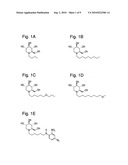 Iminosugars and methods of treating arenaviral infections diagram and image