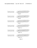 SiRNA Sequence-Independent Modification Formats for Reducing Off-Target Phenotypic Effects in RNAi, and Stabilized Forms Thereof diagram and image