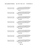 SiRNA Sequence-Independent Modification Formats for Reducing Off-Target Phenotypic Effects in RNAi, and Stabilized Forms Thereof diagram and image