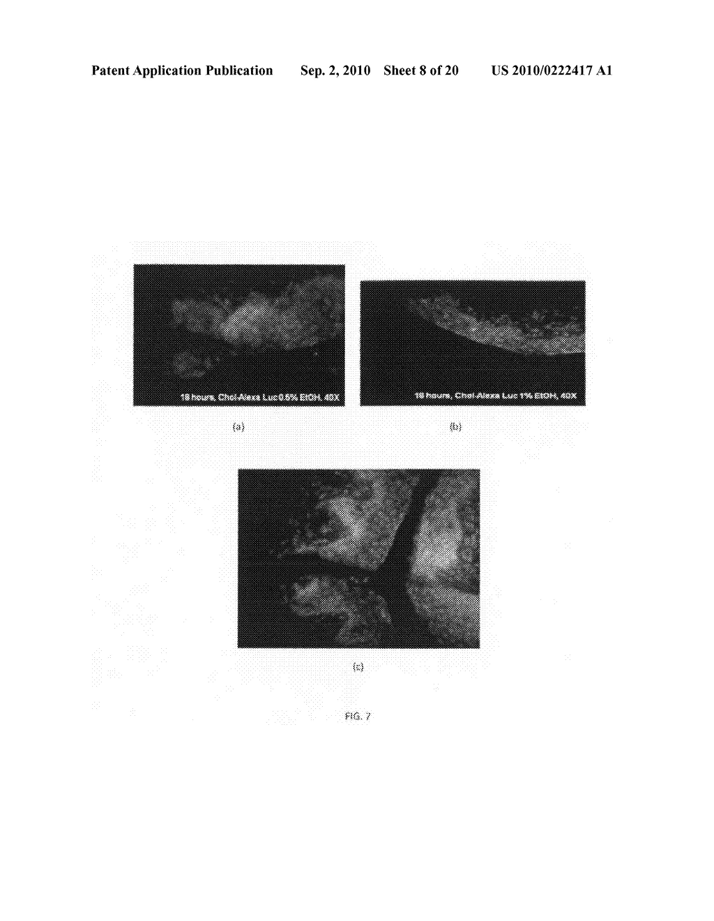 Compostions and methods for enhancing oligonucleotide delivery across and into epithelial tissues - diagram, schematic, and image 09