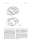 Synthetic Carbon Nanotubes diagram and image