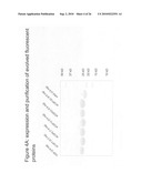 Highly thermostable fluorescent proteins diagram and image