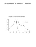 Highly thermostable fluorescent proteins diagram and image