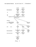 NEW HYBRID SYSTEM FOR BRASSICA NAPUS diagram and image