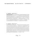 NEW HYBRID SYSTEM FOR BRASSICA NAPUS diagram and image