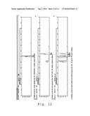 NEW HYBRID SYSTEM FOR BRASSICA NAPUS diagram and image