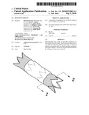 SILK STENT GRAFTS diagram and image