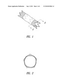 SILK STENT GRAFTS diagram and image