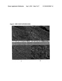 DRUG DELIVERY FROM STENTS diagram and image