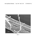 METHOD OF MAKING HYDROPHILIC FLUOROPOLYMER MATERIAL diagram and image