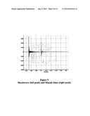 Vigilante acoustic detection, location and response system diagram and image