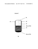 Rate-Controlled Oral Dosage Formulations diagram and image