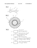 MICROCAPSULE AND METHOD FOR MAGNETIC RESONANCE IMAGING TO LOCALIZE BLOOD diagram and image