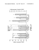 USE OF CREATINE OR CREATINE COMPOUNDS FOR SKIN PRESERVATION diagram and image