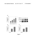 Ethanol Enhances the Complete Replication of Hepatitis C Virus: the Role of Acetaldehyde diagram and image