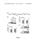 Ethanol Enhances the Complete Replication of Hepatitis C Virus: the Role of Acetaldehyde diagram and image