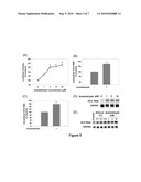 Ethanol Enhances the Complete Replication of Hepatitis C Virus: the Role of Acetaldehyde diagram and image