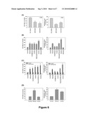 Ethanol Enhances the Complete Replication of Hepatitis C Virus: the Role of Acetaldehyde diagram and image