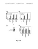 Ethanol Enhances the Complete Replication of Hepatitis C Virus: the Role of Acetaldehyde diagram and image