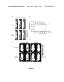 GENETIC CONTROL OF MAMMALIAN CELLS WITH SYNTHETIC RNA REGULATORY SYSTEMS diagram and image