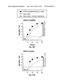 HERPES SIMPLEX VIRUS MUTANT ICP0 diagram and image