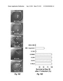 HERPES SIMPLEX VIRUS MUTANT ICP0 diagram and image