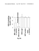 HERPES SIMPLEX VIRUS MUTANT ICP0 diagram and image