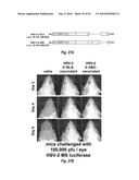 HERPES SIMPLEX VIRUS MUTANT ICP0 diagram and image