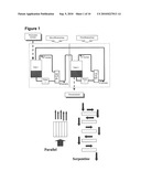 BACTERIAL EXTRACT FOR RESPIRATORY DISORDERS AND PROCESS FOR ITS PREPARATION diagram and image