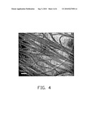 Method for fabricating carbon nanotube array diagram and image