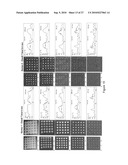 Large area, homogeneous array fabrication including substrate temperature control diagram and image