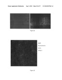 Large area, homogeneous array fabrication including substrate temperature control diagram and image